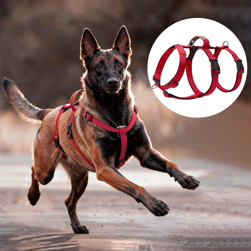 No Pull Dog Harness - Escape-Proof Nylon Dog Harness with Handle