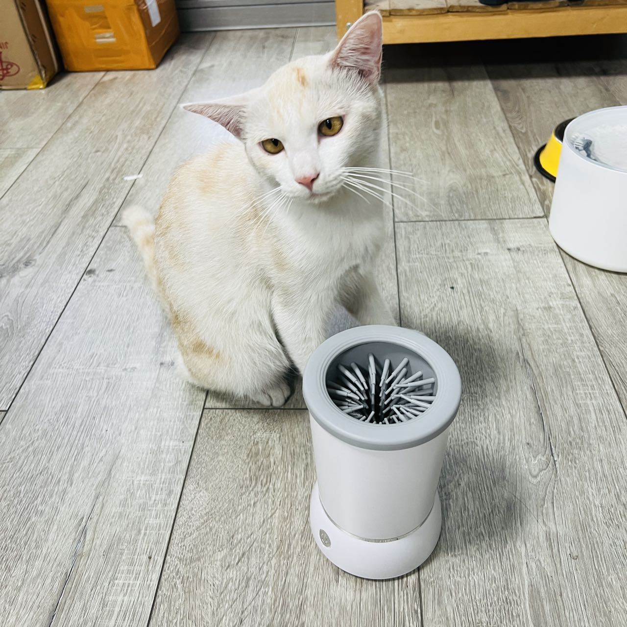 Dog Paw Cleaner - Automatic Pet Paw Cleaner Cup, Smart