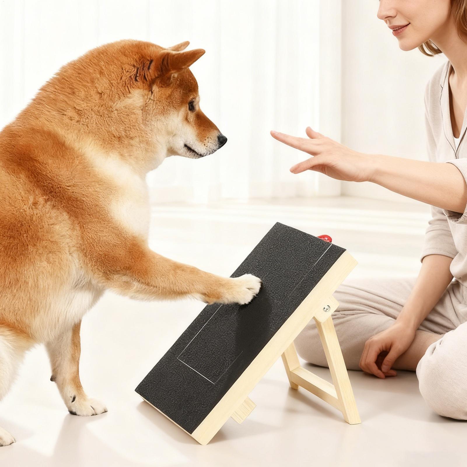 Dog Nail File Board with Pull- - Pet Nail Grinder review and price
