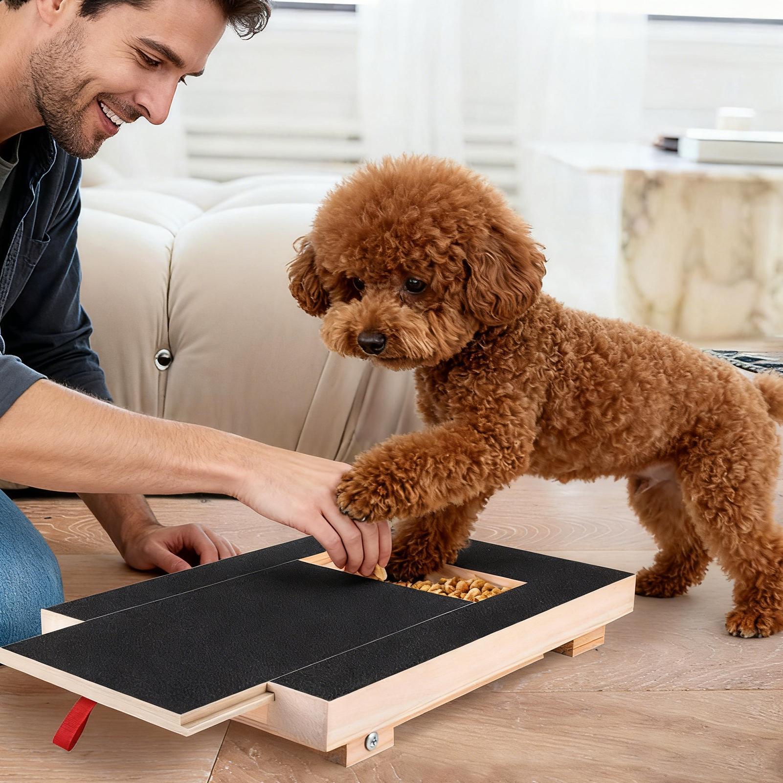 Dog Nail File Board with Pull- - Pet Nail Grinder review and price