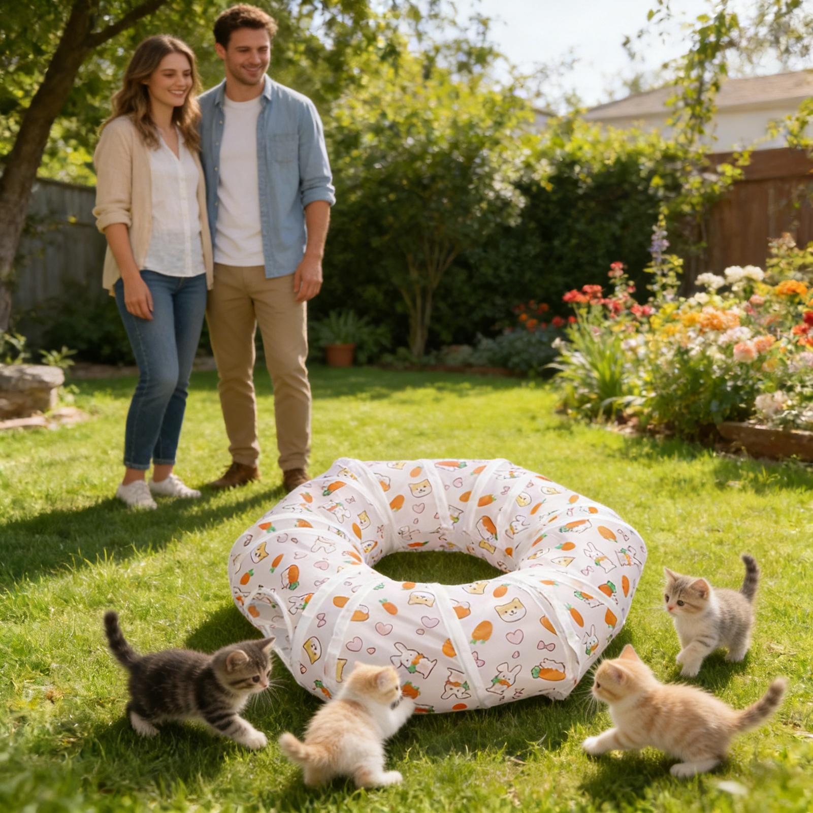 Cat Tunnels Interactive Foldab - Cat Tunnel Toy review and price