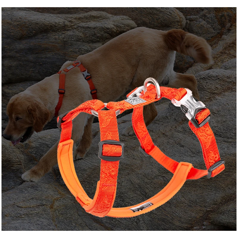 TRUELOVE Pet Hairy Usag Premiu - No Pull Dog Harness review and price
