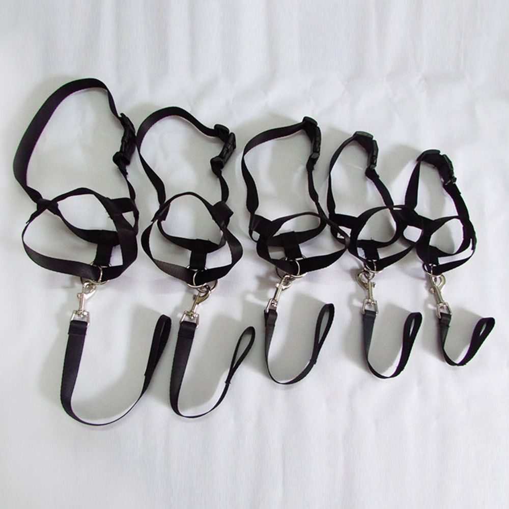 Nylon Training Leash Non Pull  - No Pull Dog Harness review and price