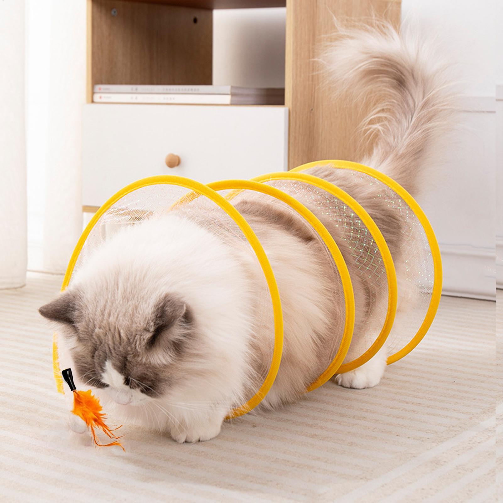 Cat Toy Tunnel Self Play Folda - Cat Tunnel Toy review and price