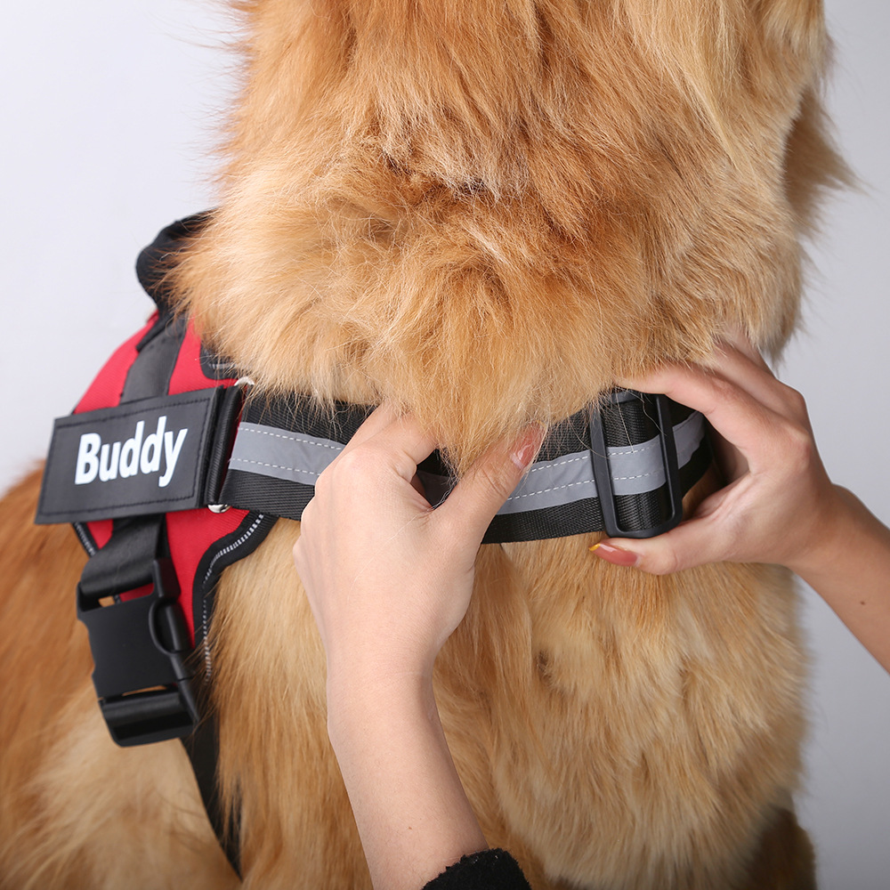 Customized Reflective Breathab - No Pull Dog Harness review and price