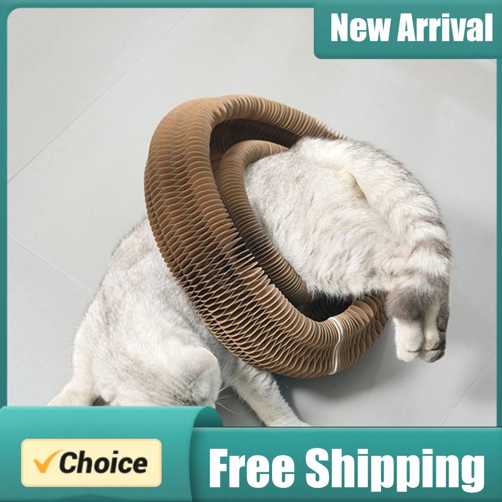 Magic Organ Cat Scratching Boa - Cat Tunnel Toy review and price