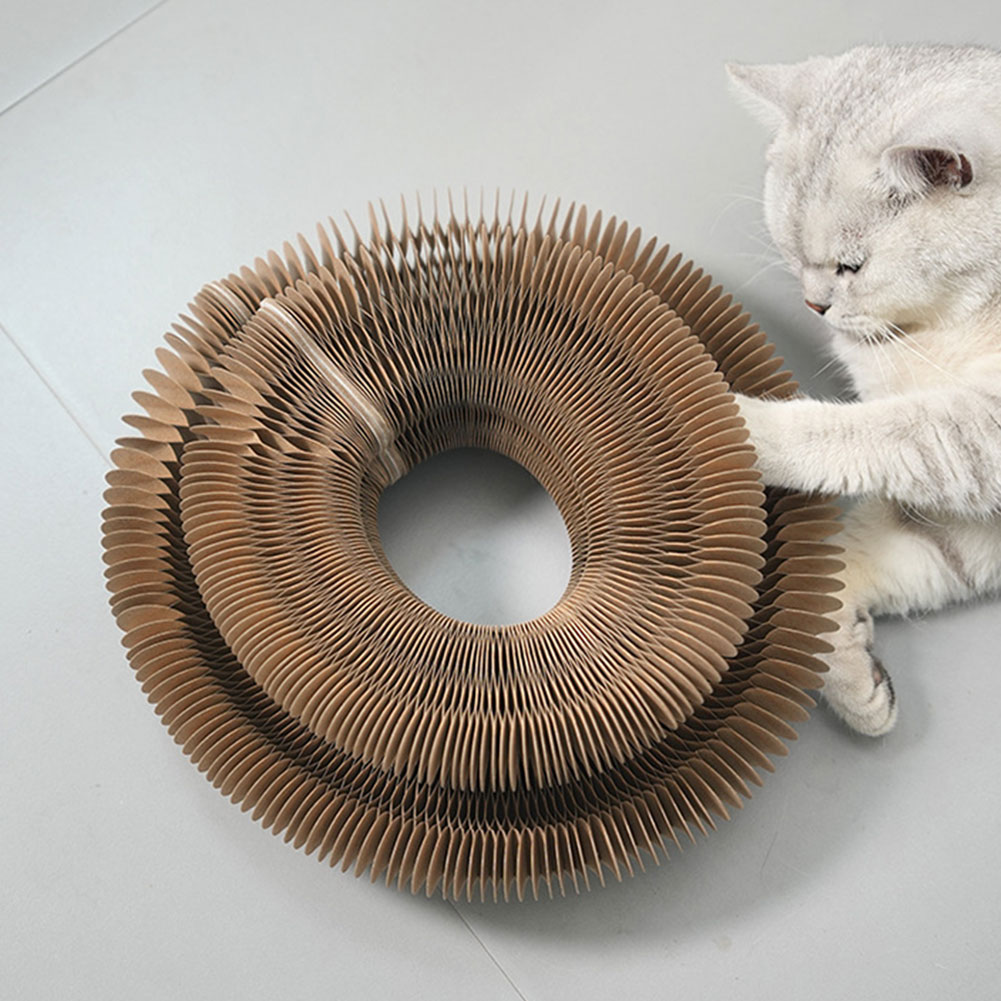 Magic Organ Cat Scratching Boa - Cat Tunnel Toy review and price