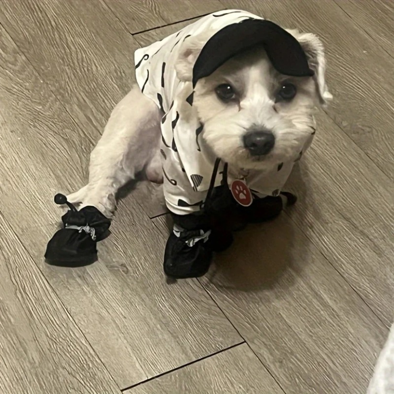 4pcs Pet Dog Rain Boots Water- - Dog Booties Paw Protector review and price
