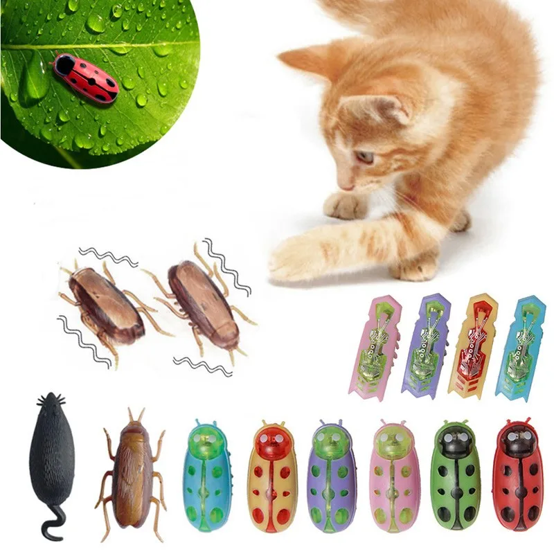 Funny Electric Bugs Catnip Toy - Cat Tunnel Toy review and price