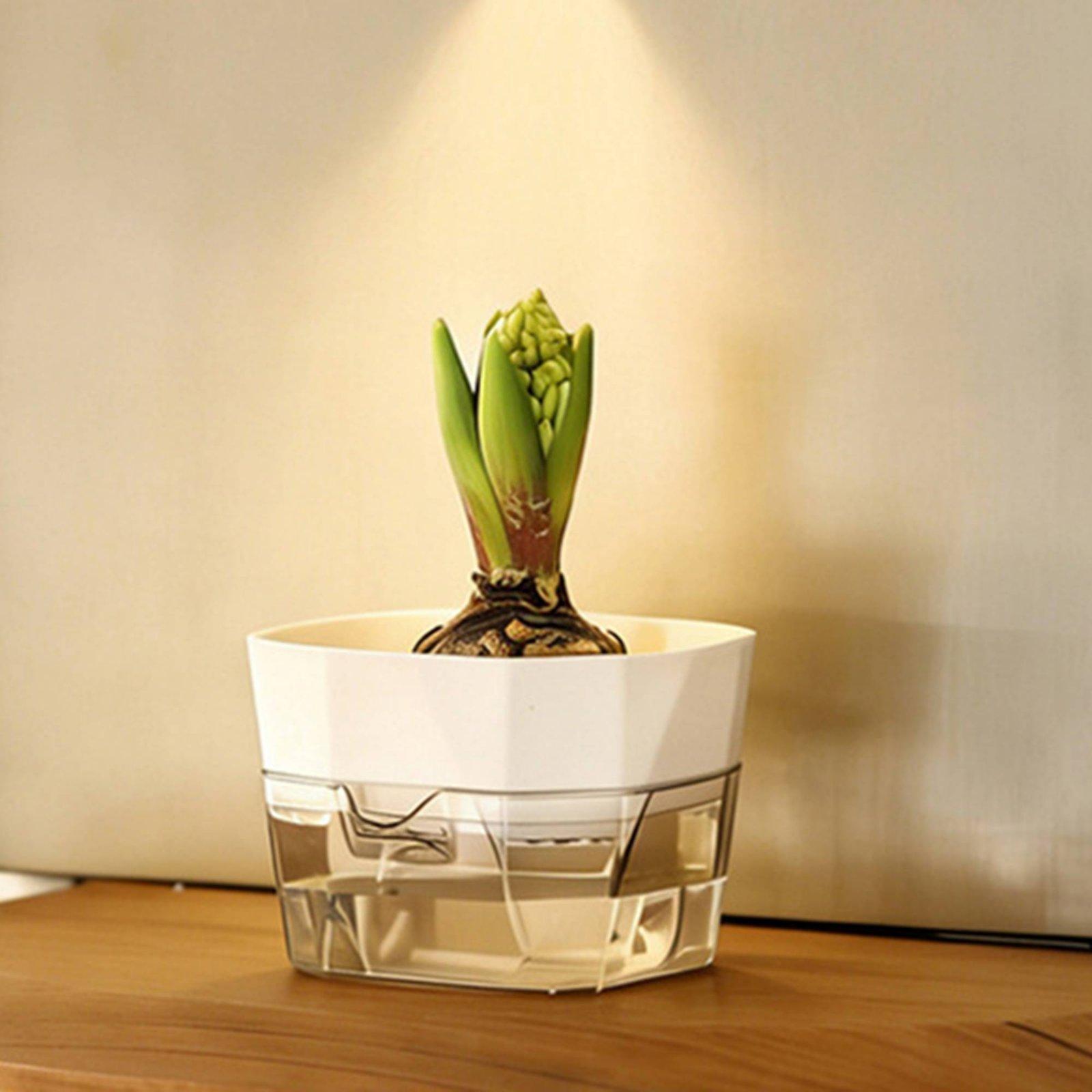 Hydroponic Vase Two Layer Self - Pet Supplies Usa review and price