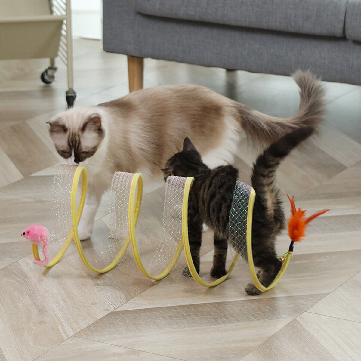 Folded Cat Tunnel S Type Cats  - Cat Tunnel Toy review and price