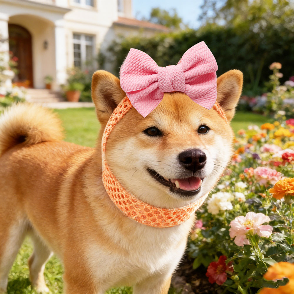 50PCS Dog Bows Elastic Bands C - Pet Supplies Wholesale review and price