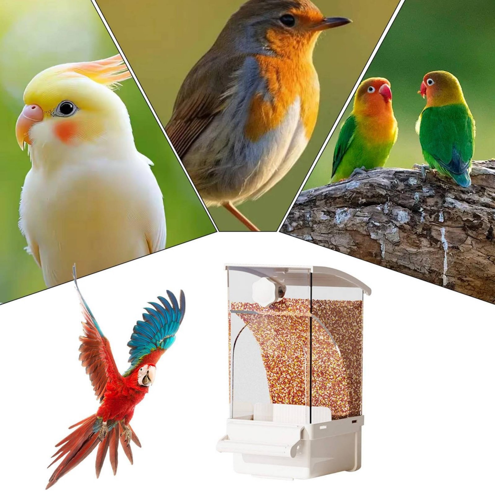Automatic Avian Feeder Husk Se - Pet Supplies Usa review and price