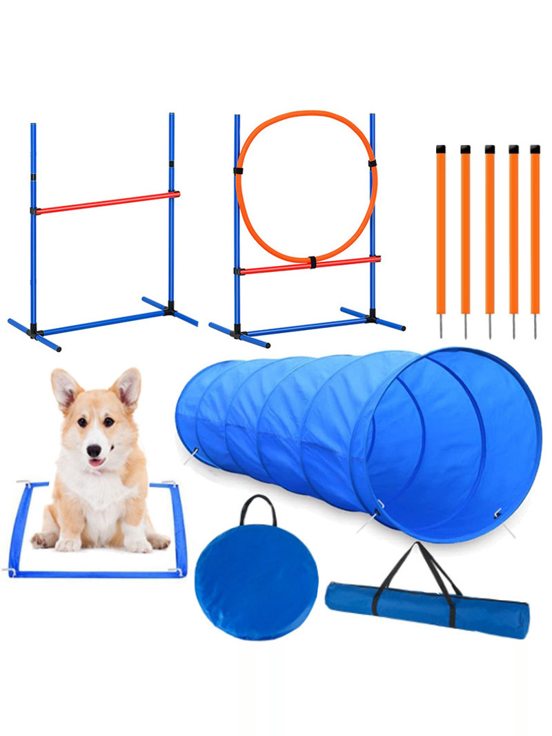 Dog Obstacle Training Competit - Pet Supplies Usa review and price