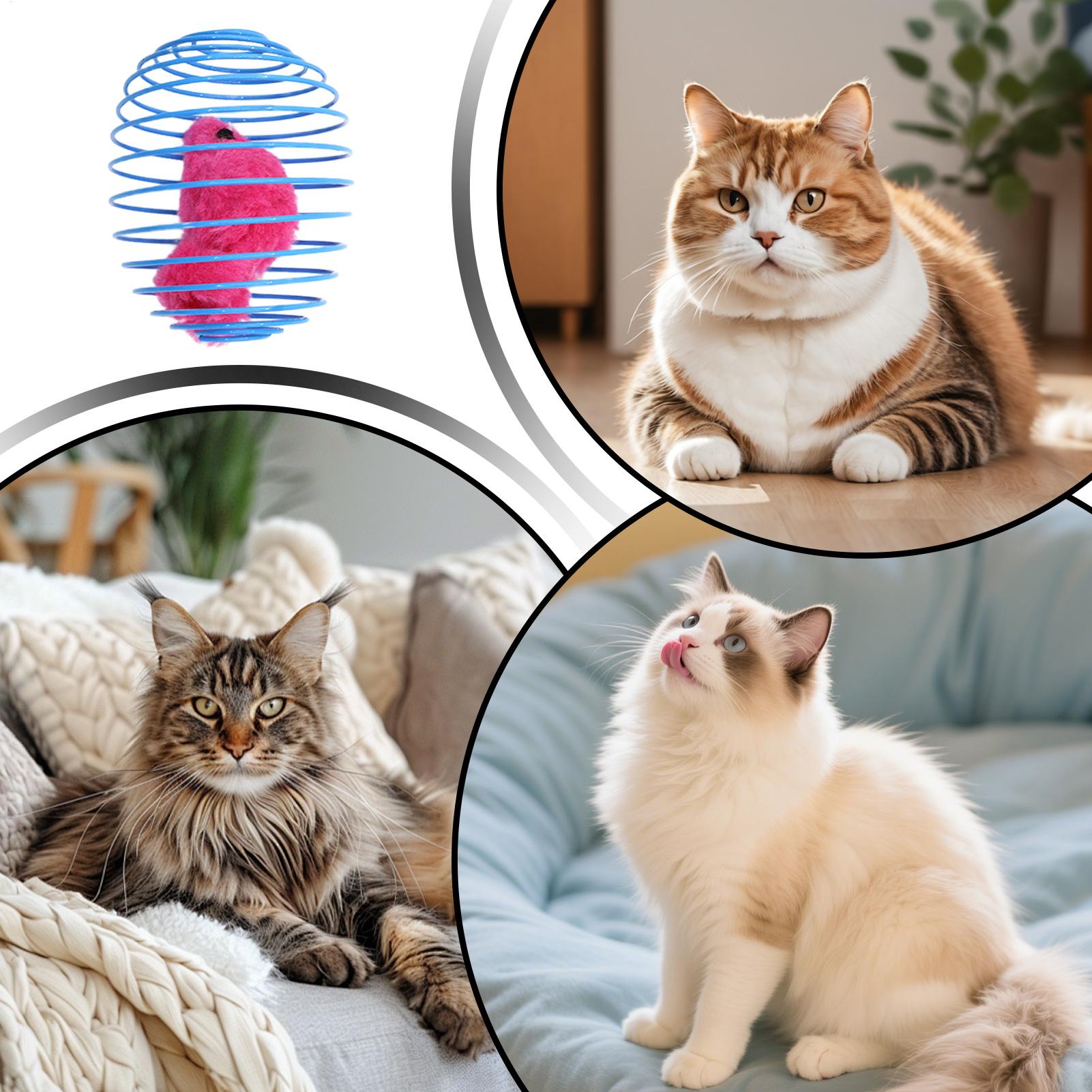 Cat Spiral Toy Interactive Fun - Cat Tunnel Toy review and price