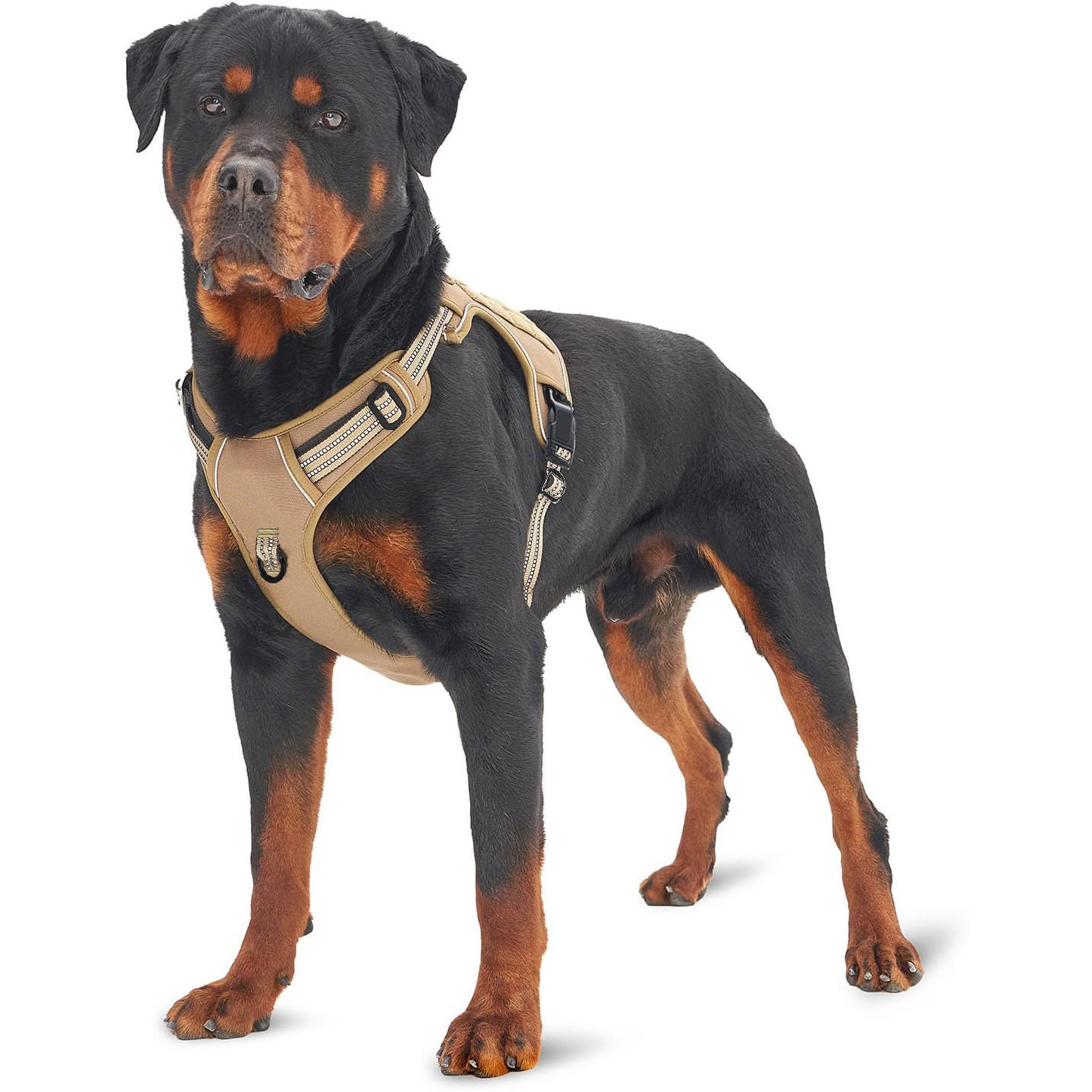 Military Tactical Dog Harness  - No Pull Dog Harness review and price