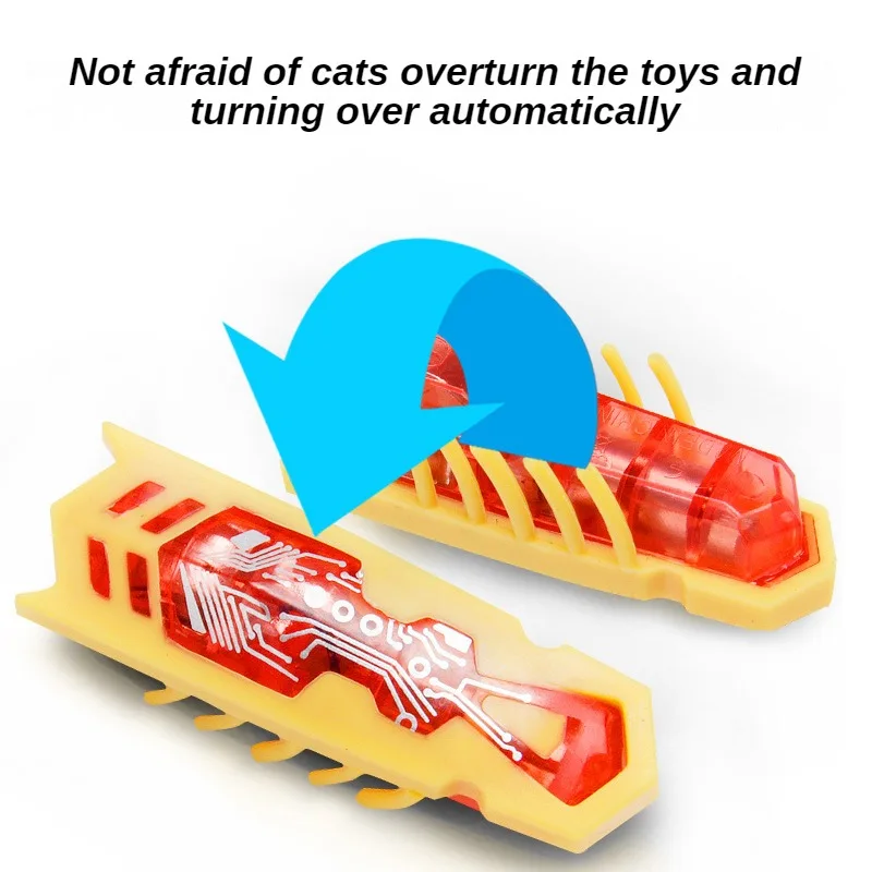 Funny Electric Bugs Catnip Toy - Cat Tunnel Toy review and price