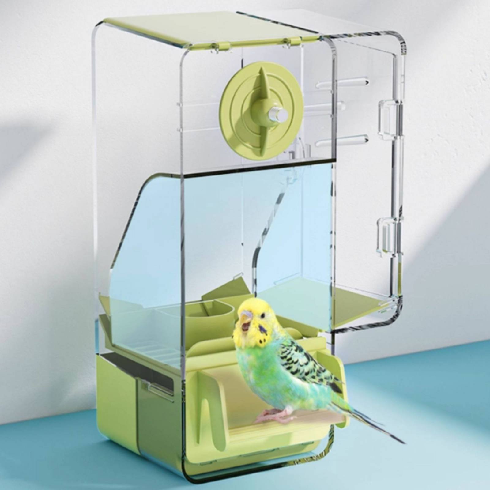 Seed Separating Feeder Splash- - Pet Supplies Usa review and price
