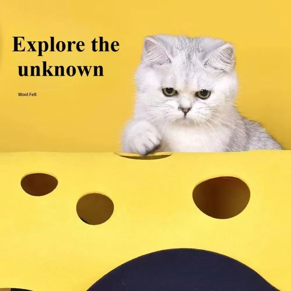 Durable Foldable Cat Tunnels B - Cat Tunnel Toy review and price