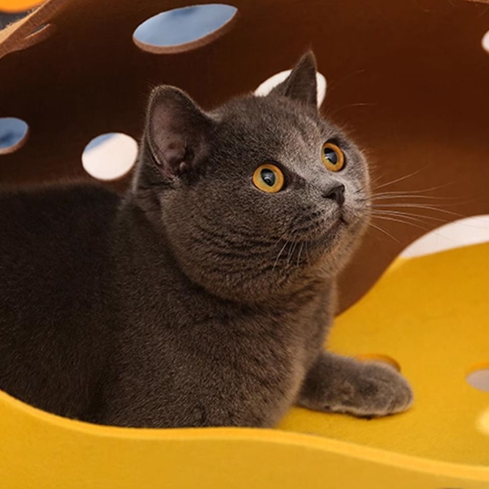 Durable Foldable Cat Tunnels B - Cat Tunnel Toy review and price
