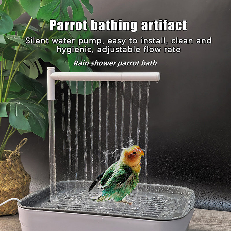 New Sale 2026 Automatic Parrot - Pet Supplies Usa review and price