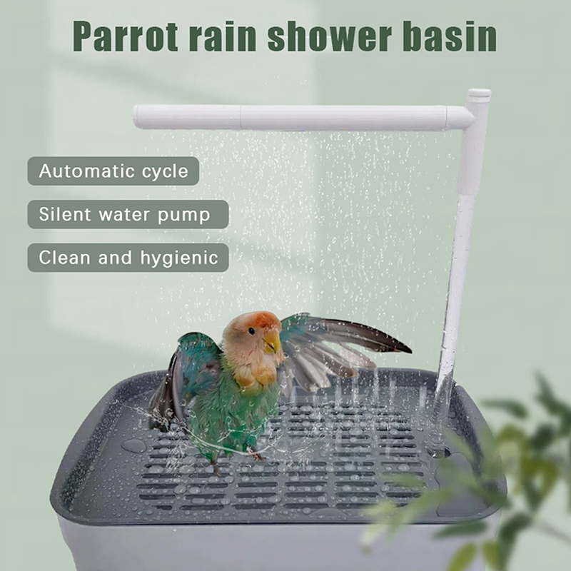 New Sale 2026 Automatic Parrot - Pet Supplies Usa review and price
