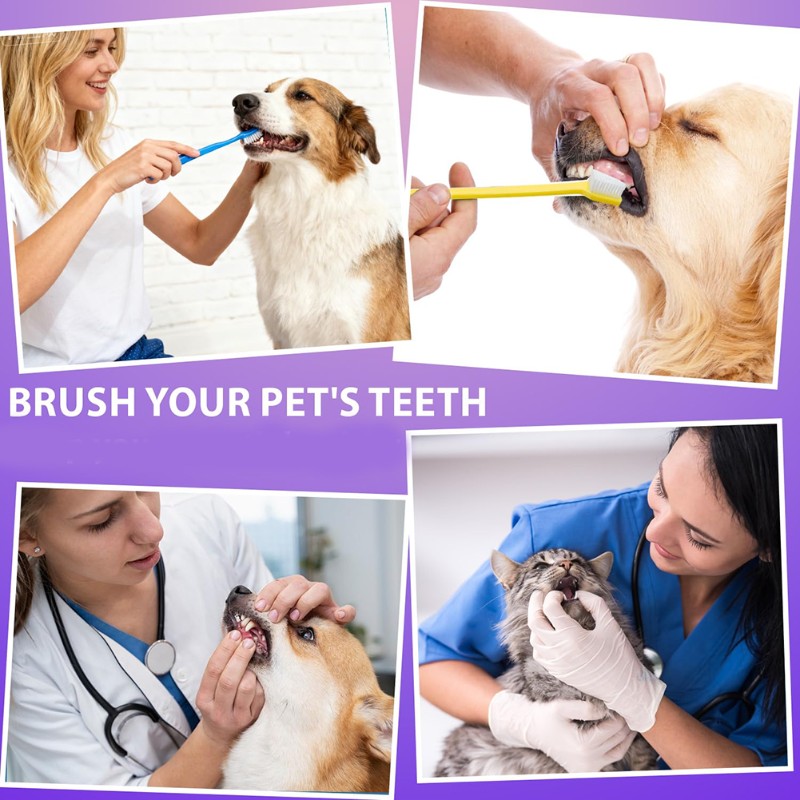 AB66-Dog Oral Hygiene Tool- 60 - Dog Paw Cleaner review and price