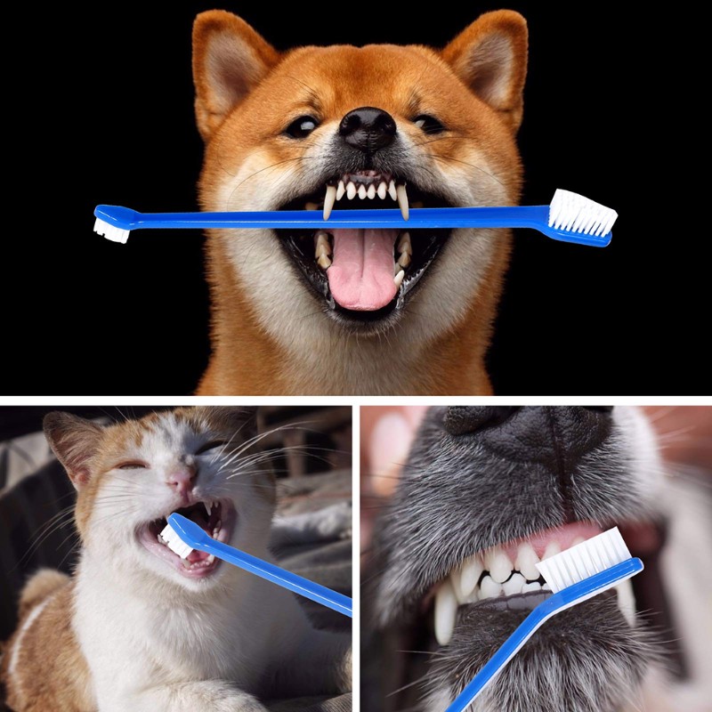 AB66-Dog Oral Hygiene Tool- 60 - Dog Paw Cleaner review and price